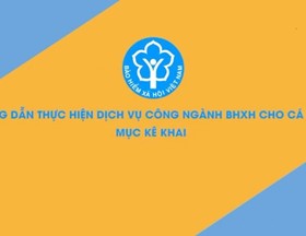 Hướng dẫn kê khai hồ sơ trên Cổng Dịch vụ công BHXH Việt Nam - Dành cho cá nhân