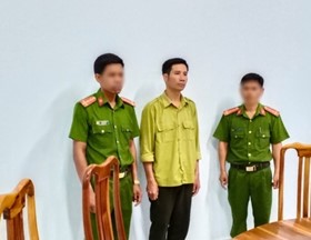 Khởi tố, bắt tạm giam nhân viên bảo vệ trong vụ phá rừng tại Gia Lai