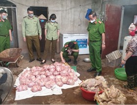 Phát hiện hơn 3 tấn thịt gà bốc mùi, chuẩn bị được bán ra thị trường